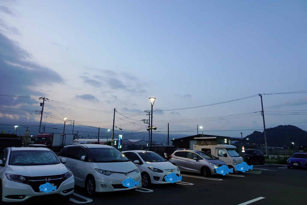f:id:qggywo:20190228210140j:plain f:id:qggywo:20190228210140j:plain