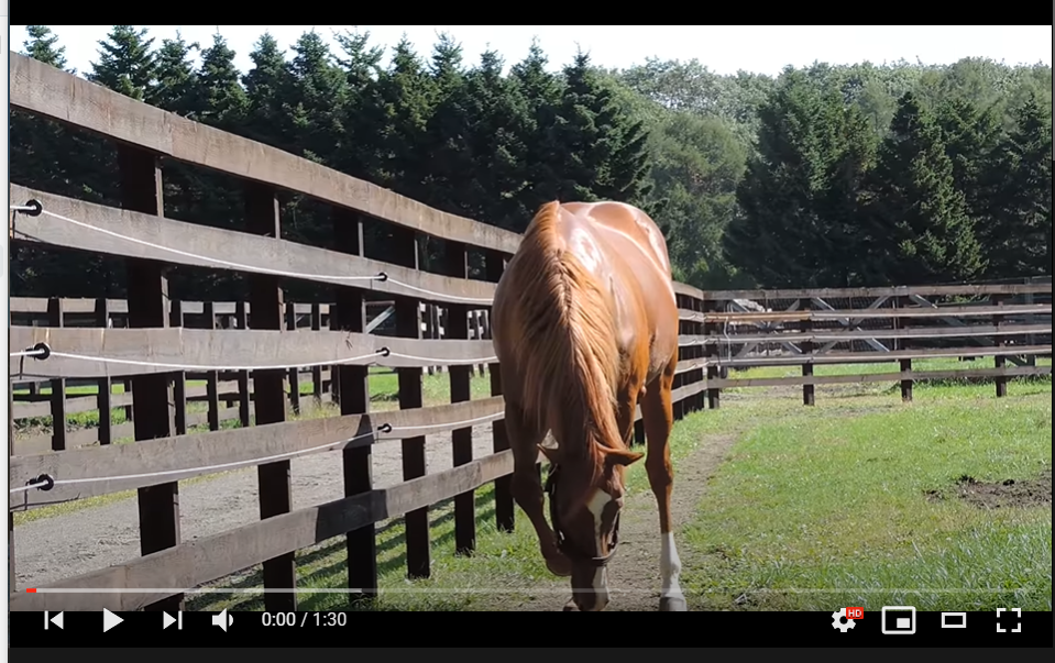 Youtubeまとめぺぺろん