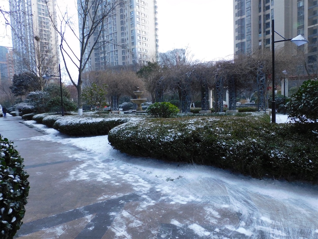 f:id:qingdaochuduma:20220116110607j:image f:id:qingdaochuduma:20220116110607j:image