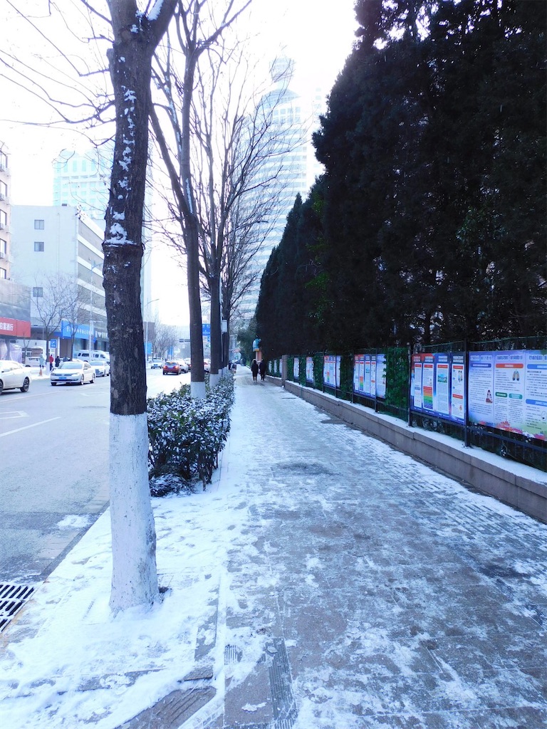 f:id:qingdaochuduma:20220116110612j:image f:id:qingdaochuduma:20220116110612j:image