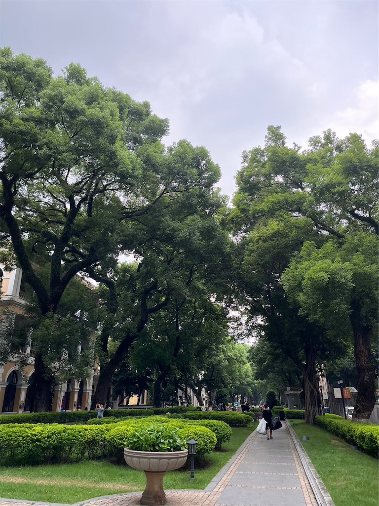 f:id:qingdaochuduma:20240908221649j:image f:id:qingdaochuduma:20240908221649j:image