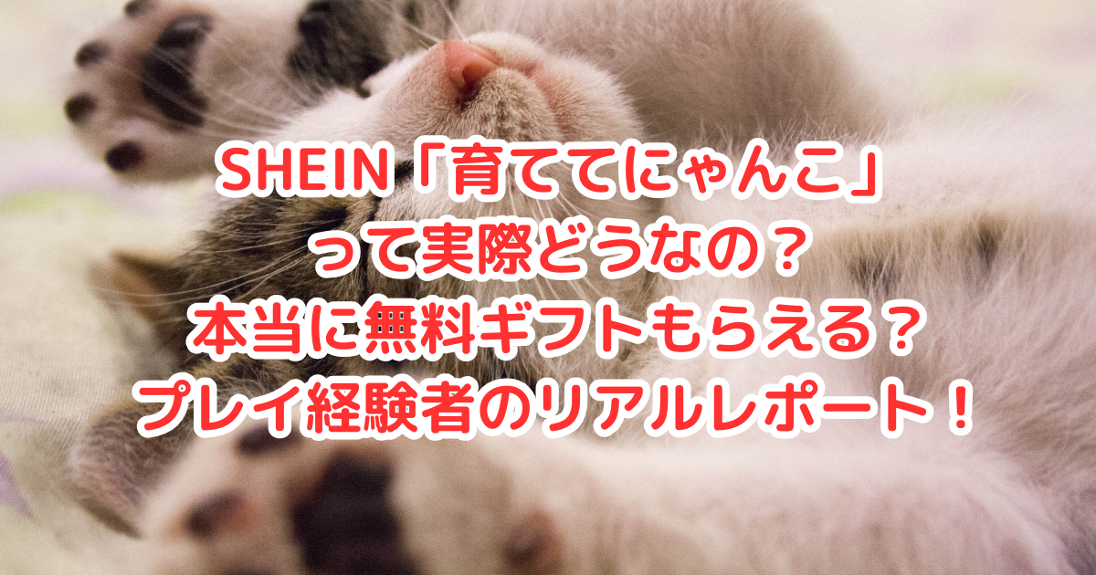 SHEIN「育ててにゃんこ」って実際どうなの？本当に無料ギフト