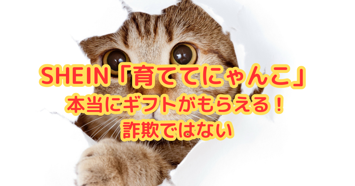 SHEIN「育ててにゃんこ」って実際どうなの？本当に無料ギフト