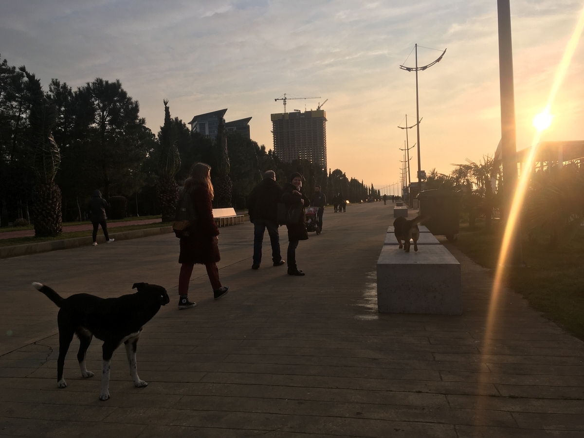 f:id:qjitai:20200220180854j:plain