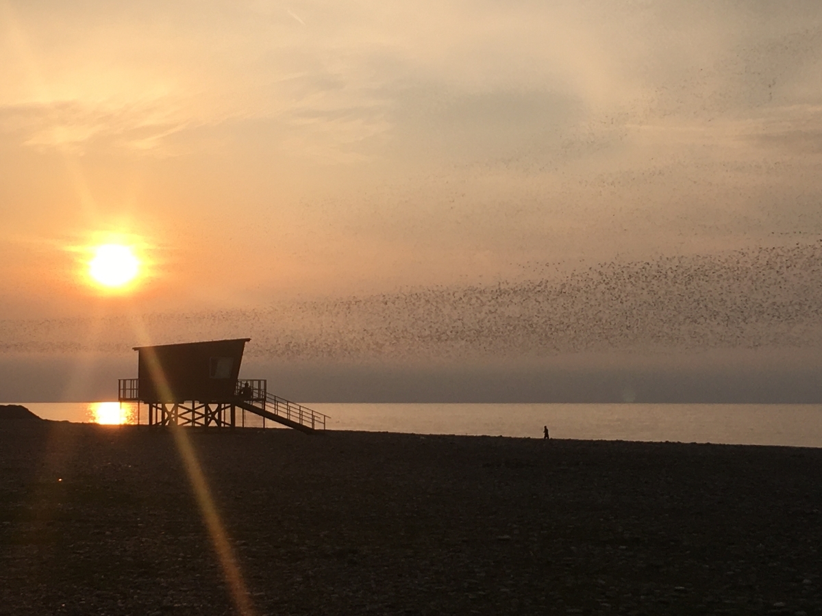 f:id:qjitai:20200220182148j:plain