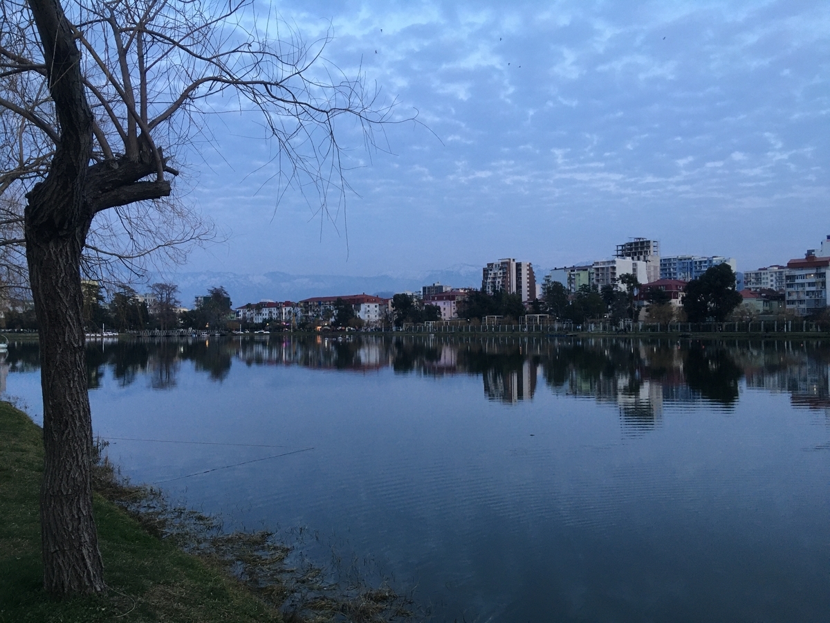 f:id:qjitai:20200220185200j:plain