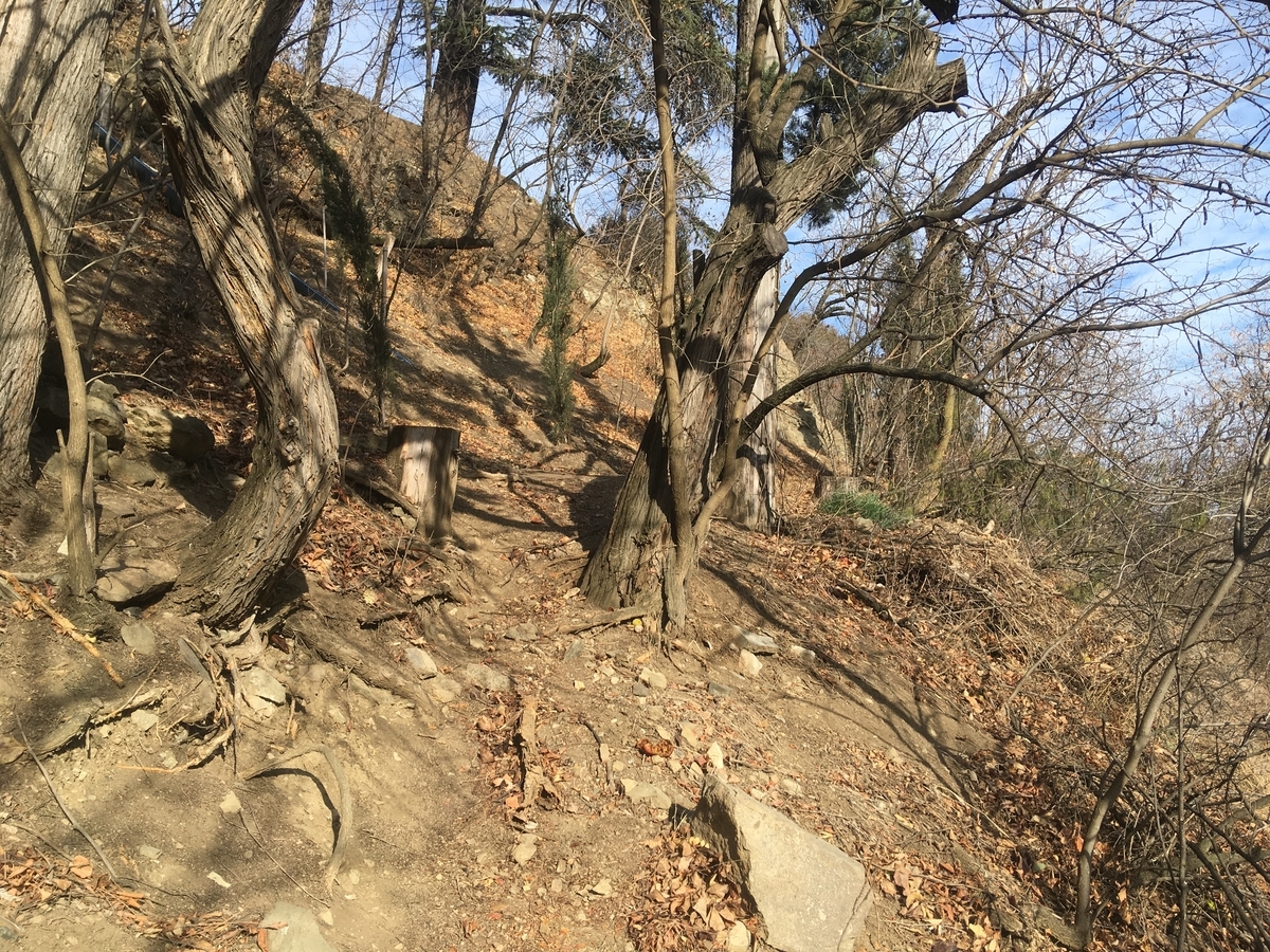 f:id:qjitai:20200223155857j:plain