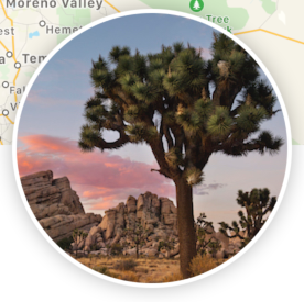 f:id:qkuroneko:20190612175804p:plain:w320 f:id:qkuroneko:20190612175804p:plain:w320