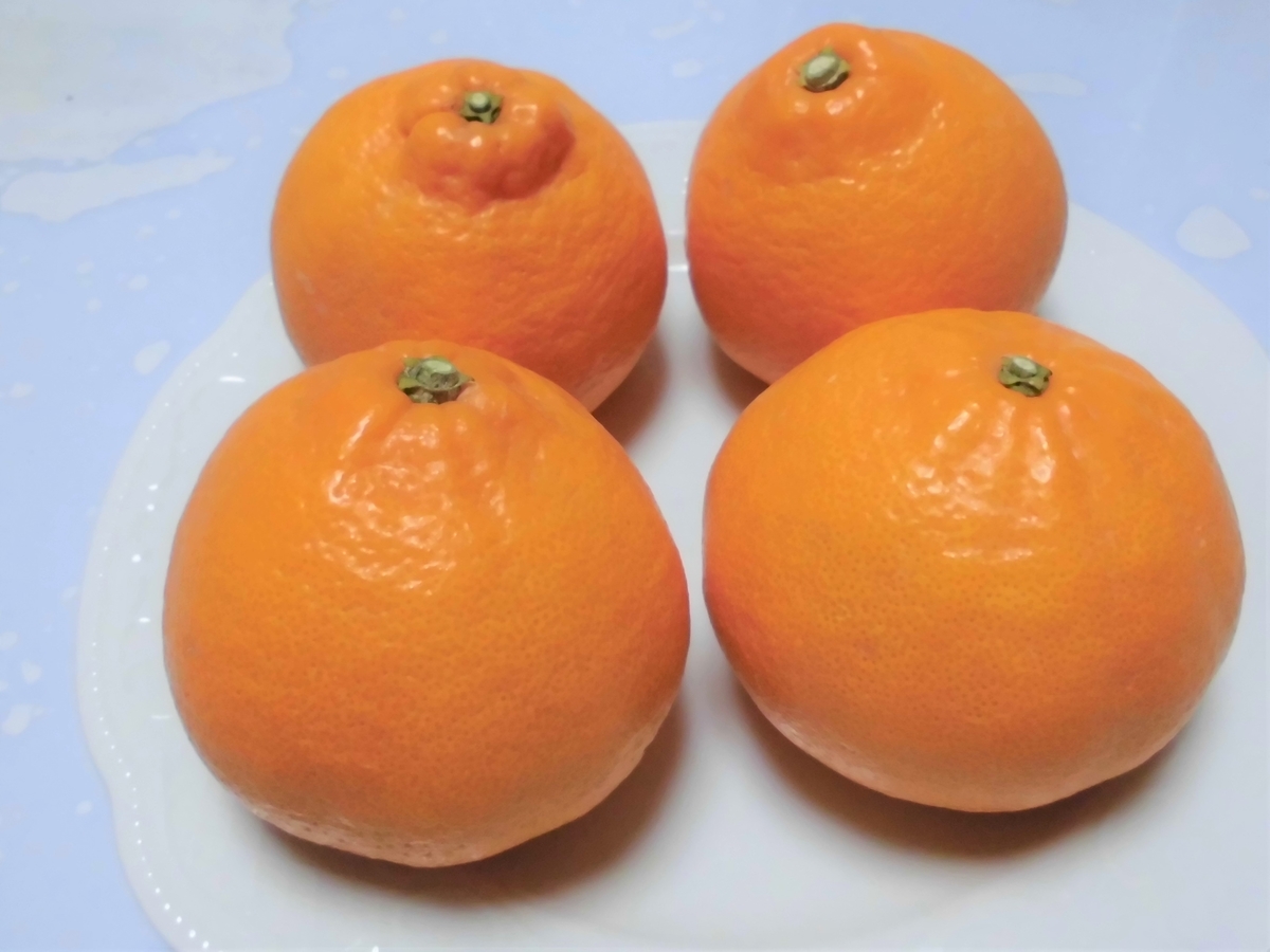 f:id:qlife07:20210202213428j:plain