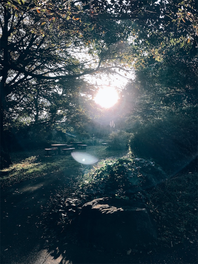 f:id:qlui7:20190701171153j:image