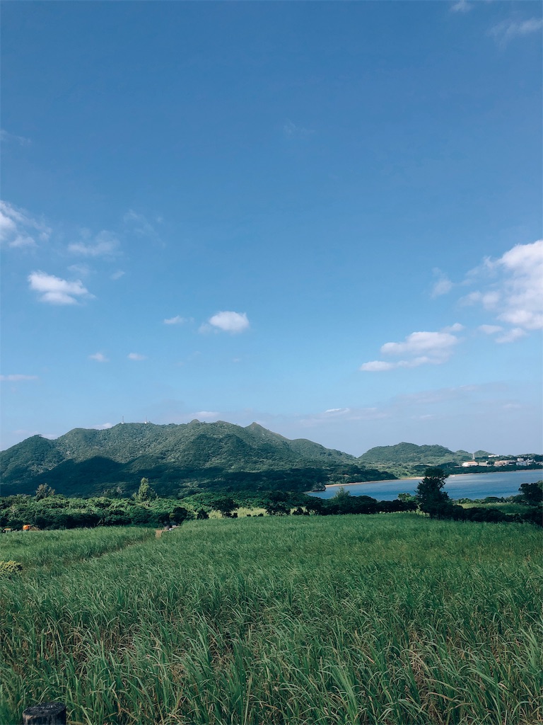 f:id:qlui7:20190701172322j:image