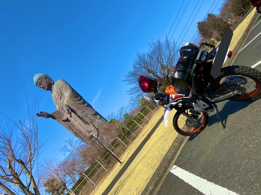 f:id:qmomiji:20200312204352j:image f:id:qmomiji:20200312204352j:image