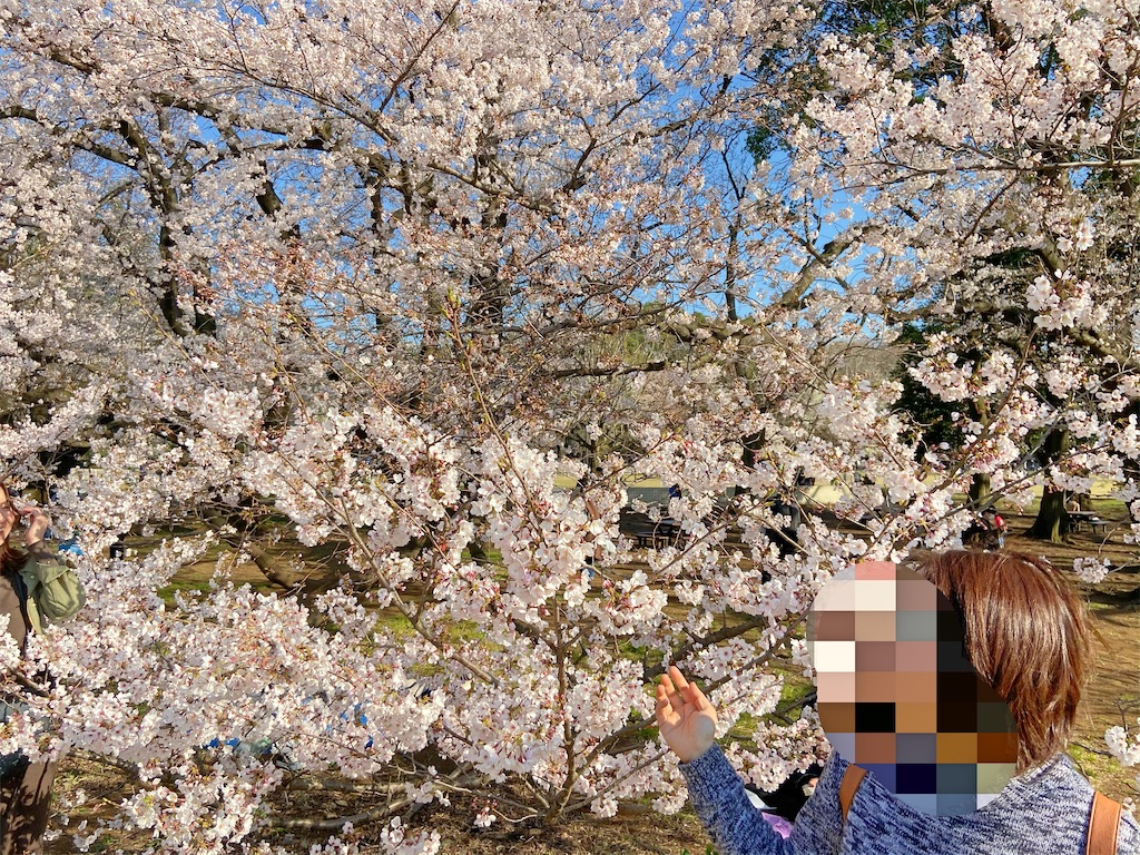 f:id:qmomiji:20200420074926j:image f:id:qmomiji:20200420074926j:image