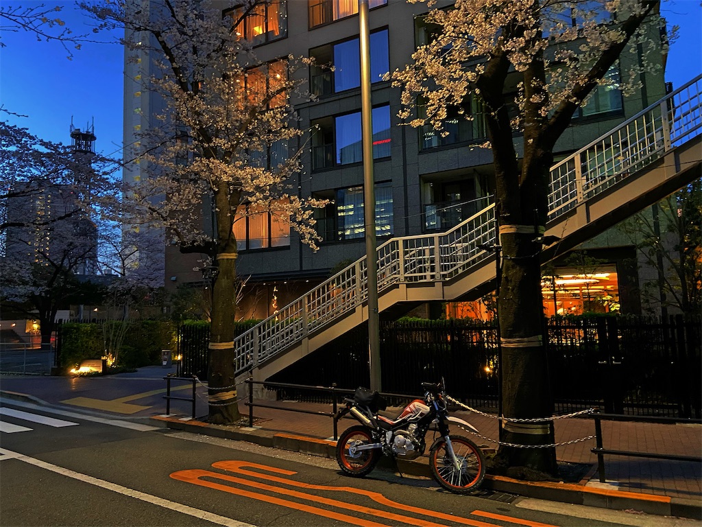 f:id:qmomiji:20200423184308j:image f:id:qmomiji:20200423184308j:image
