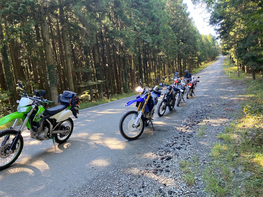 f:id:qmomiji:20211115215305j:image f:id:qmomiji:20211115215305j:image