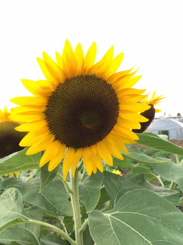 20180803161031