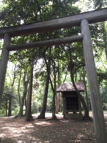 f:id:qohelet:20190503140937j:image:w300