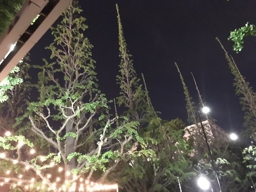 f:id:qohelet:20190509073353j:image:w300