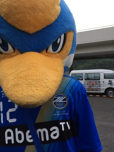 ゼルビー 引き気味