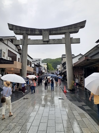 f:id:qoo-mile:20190715212223j:plain f:id:qoo-mile:20190715212223j:plain