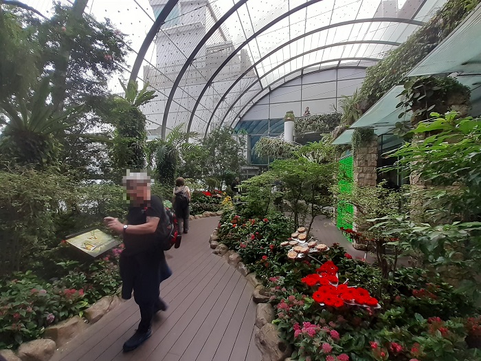 f:id:qoo-mile:20191021173109j:plain f:id:qoo-mile:20191021173109j:plain