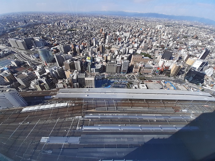 f:id:qoo-mile:20191023210534j:plain f:id:qoo-mile:20191023210534j:plain