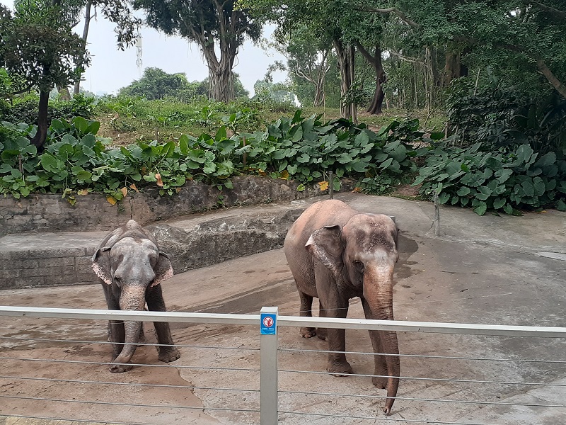f:id:qoo-mile:20191119202428j:plain f:id:qoo-mile:20191119202428j:plain