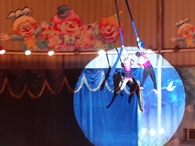 f:id:qoo-mile:20191119205136j:plain f:id:qoo-mile:20191119205136j:plain