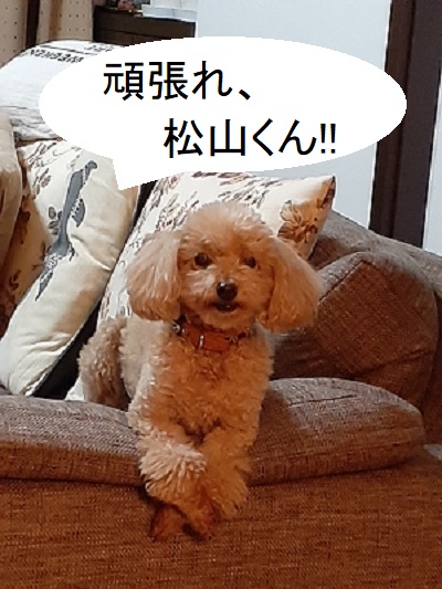 f:id:qoo-mile:20201110052336j:plain f:id:qoo-mile:20201110052336j:plain