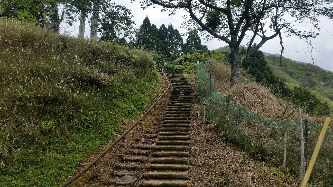 f:id:qoo5_camp:20190503190551j:image f:id:qoo5_camp:20190503190551j:image
