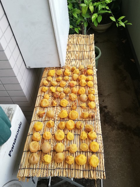 f:id:qooki-jp:20190809171027j:image f:id:qooki-jp:20190809171027j:image