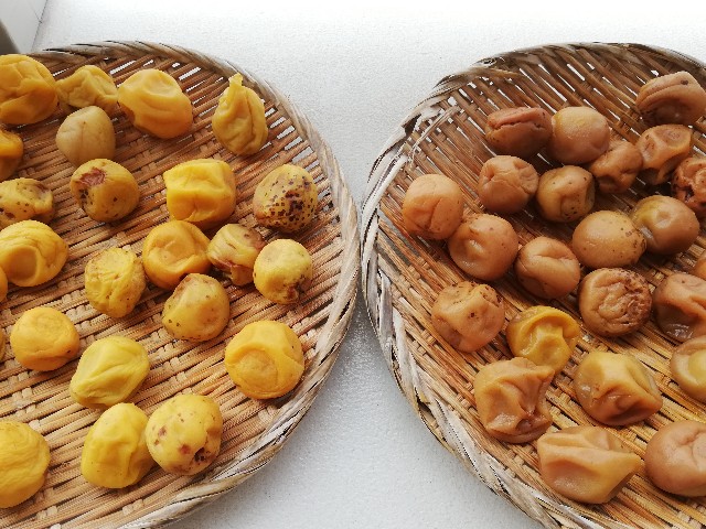 f:id:qooki-jp:20190816220315j:image f:id:qooki-jp:20190816220315j:image