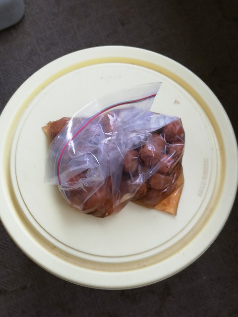 f:id:qooki-jp:20190816220337j:image f:id:qooki-jp:20190816220337j:image