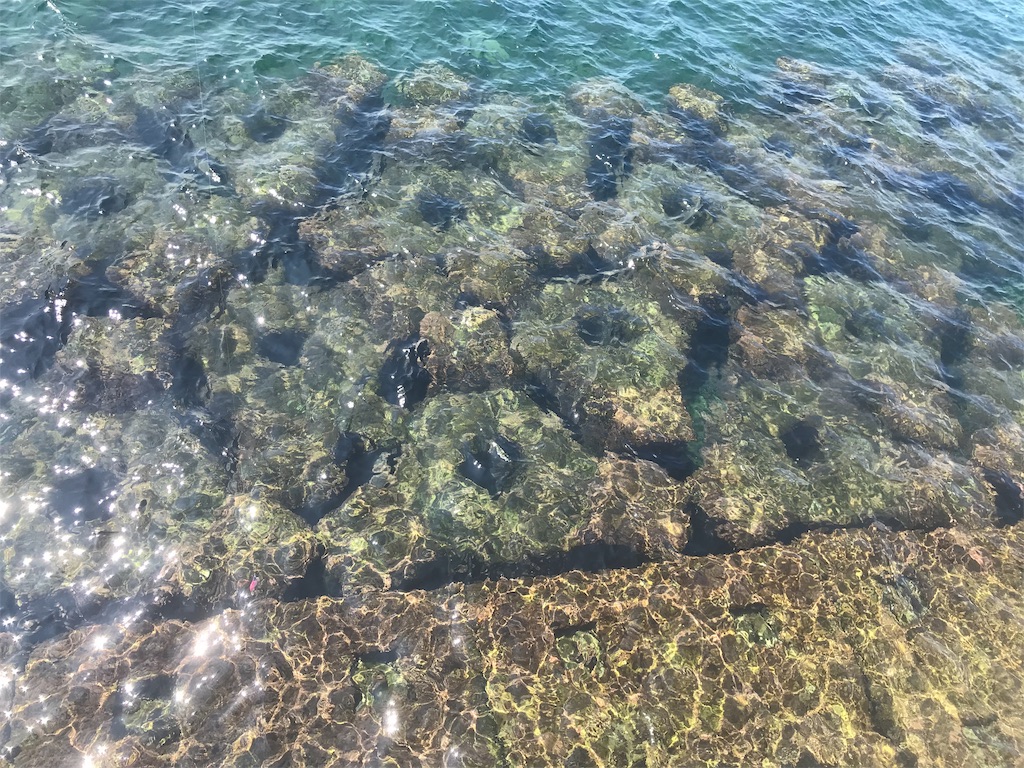 f:id:qoorallf:20190916171506j:image