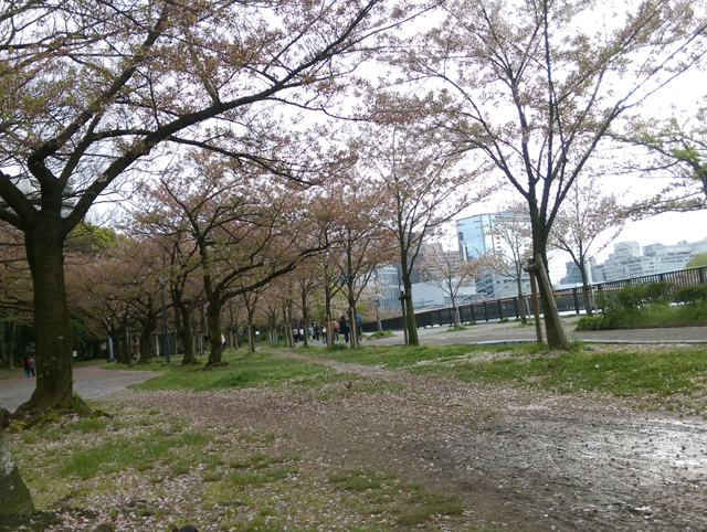 f:id:qooton:20150413101207j:plain f:id:qooton:20150413101207j:plain