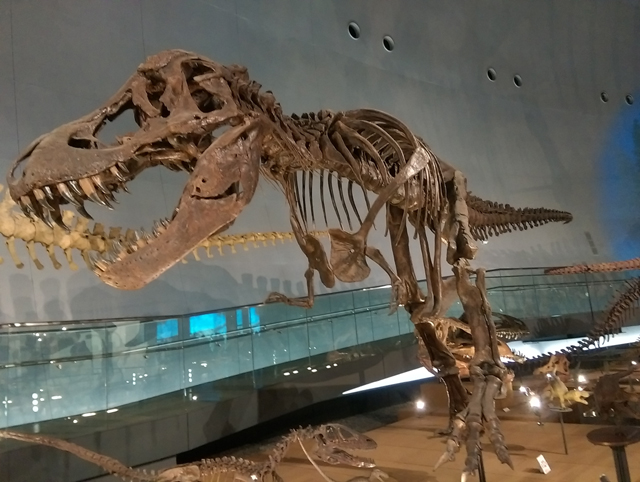 f:id:qooton:20150724162218j:plain