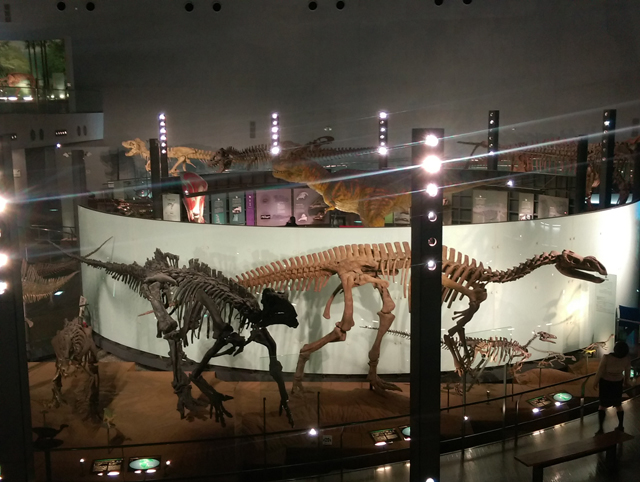 f:id:qooton:20150724162222j:plain