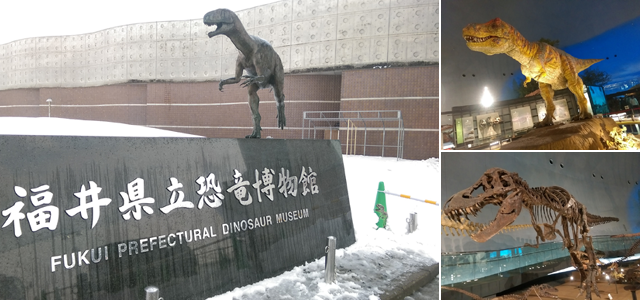 f:id:qooton:20150724173027p:plain