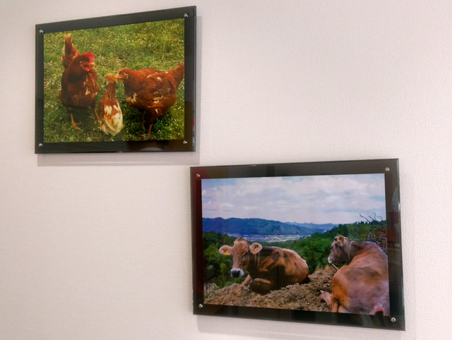 f:id:qooton:20150827143946j:plain f:id:qooton:20150827143946j:plain