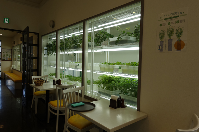 f:id:qooton:20160310152019j:plain