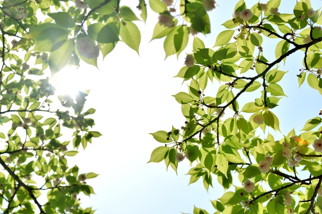 f:id:qooton:20160311164341j:plain