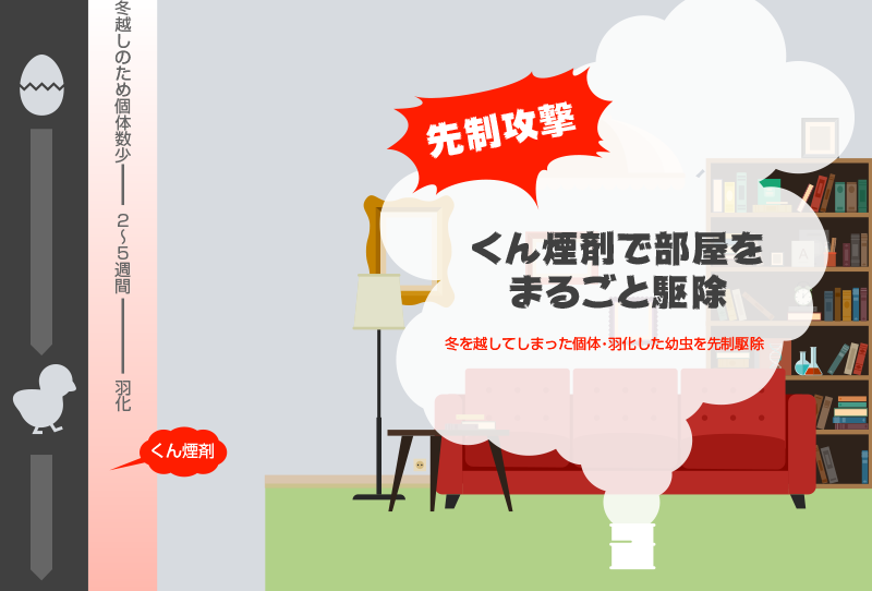 f:id:qooton:20160324171951p:plain