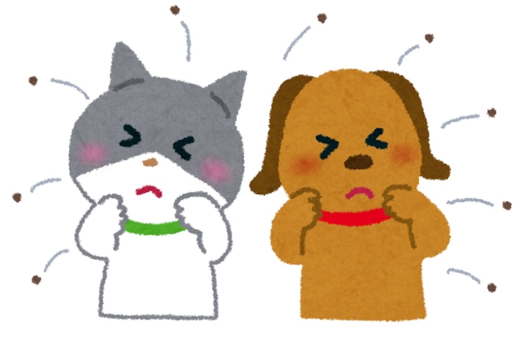 f:id:qpata:20190128192907j:image