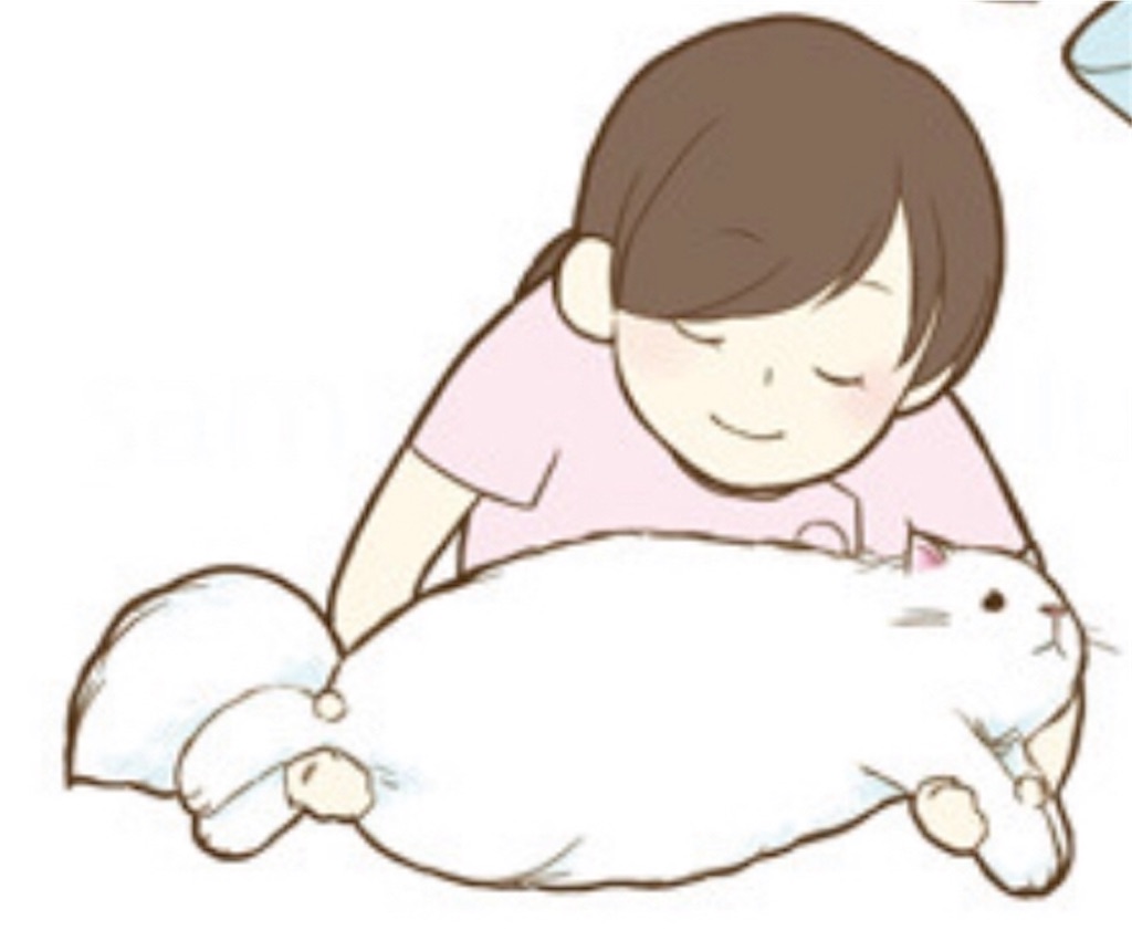 f:id:qpata:20190128193309j:image