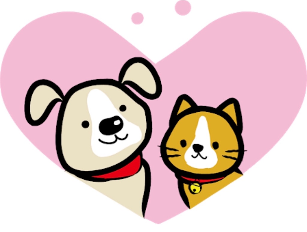 f:id:qpata:20190128193633j:image