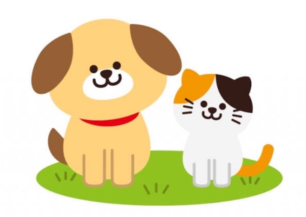 f:id:qpata:20190129040059j:image