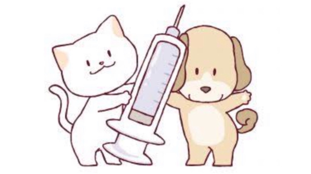 f:id:qpata:20190129040217j:image