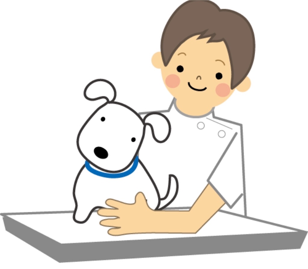 f:id:qpata:20190219215011j:image
