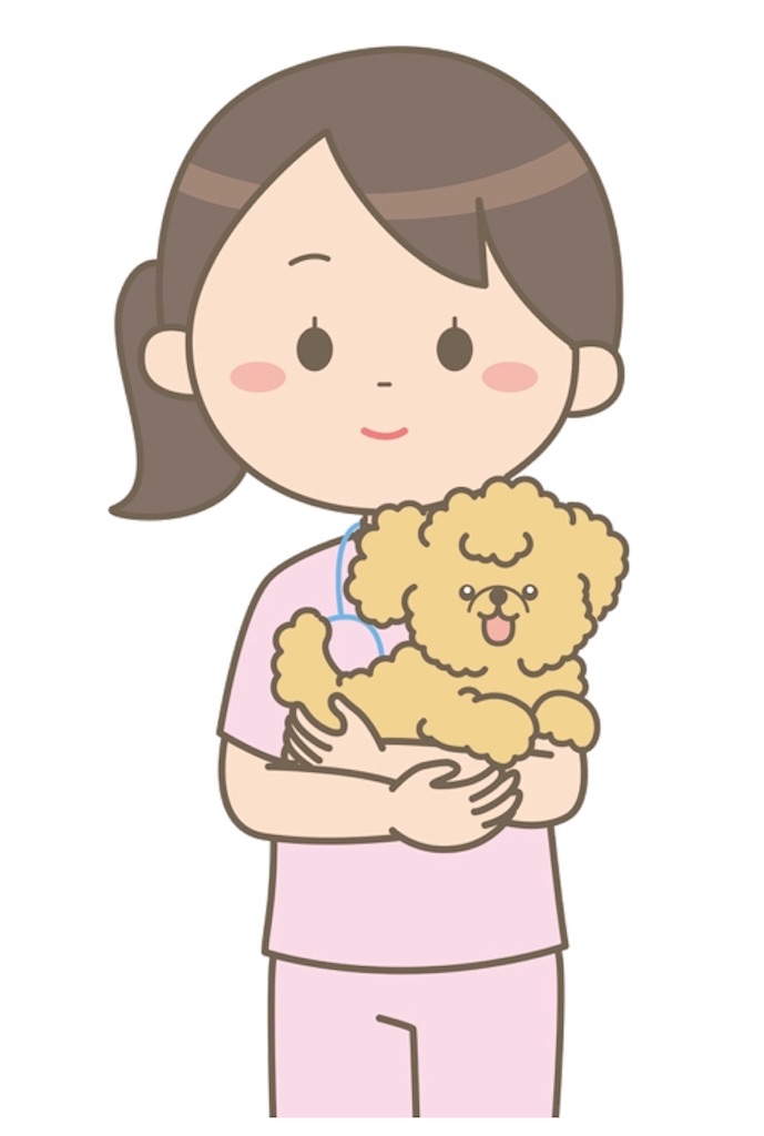 f:id:qpata:20190219215108j:image