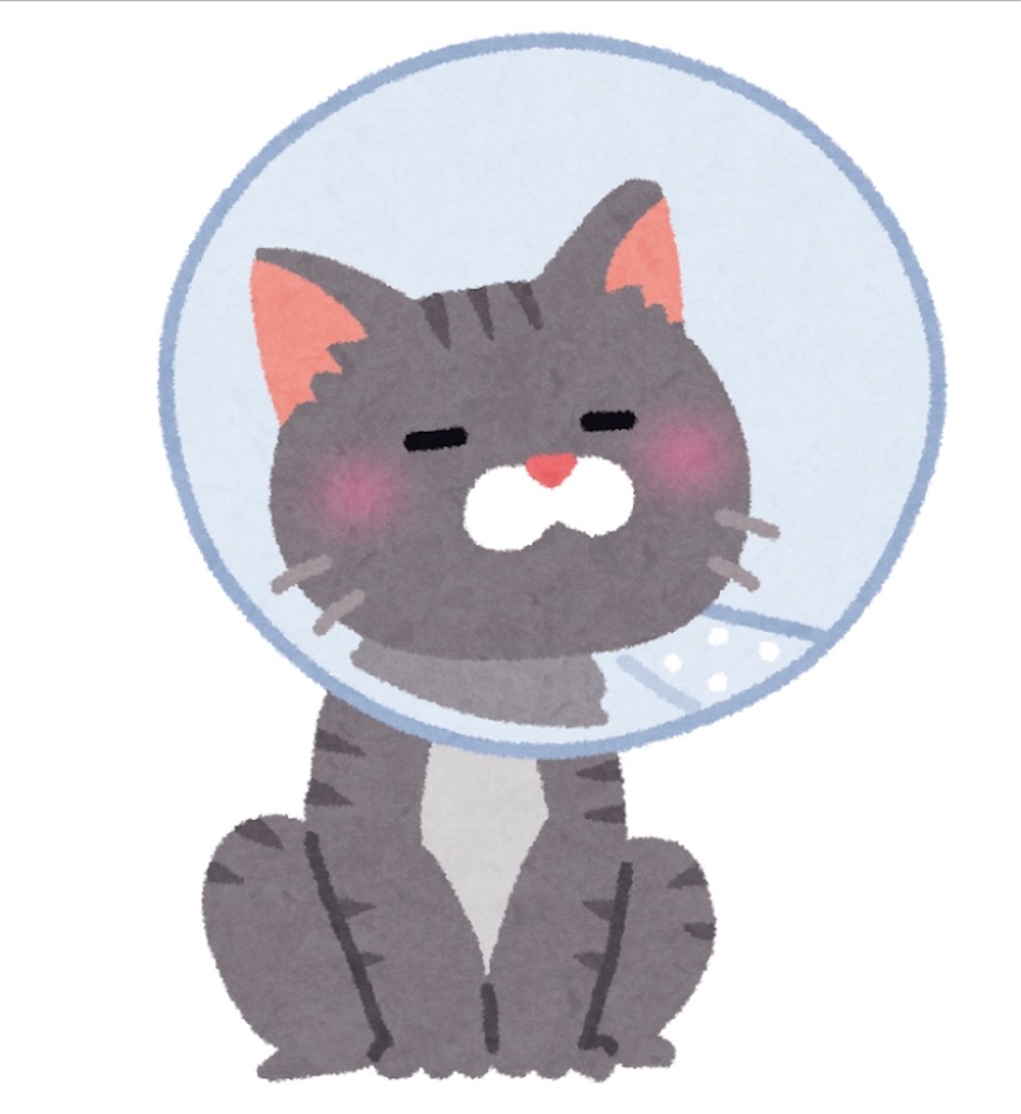 f:id:qpata:20190219215226j:image